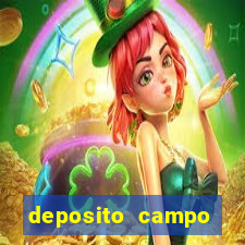 deposito campo grande santos